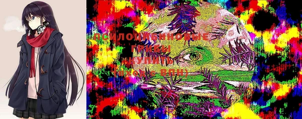 МДПВ Балабаново