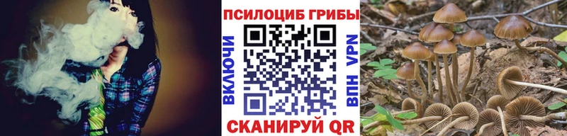 Псилоцибиновые грибы Cubensis  Сатка 